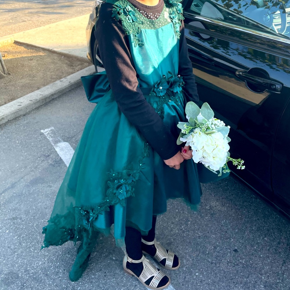 Girls special occasion dress